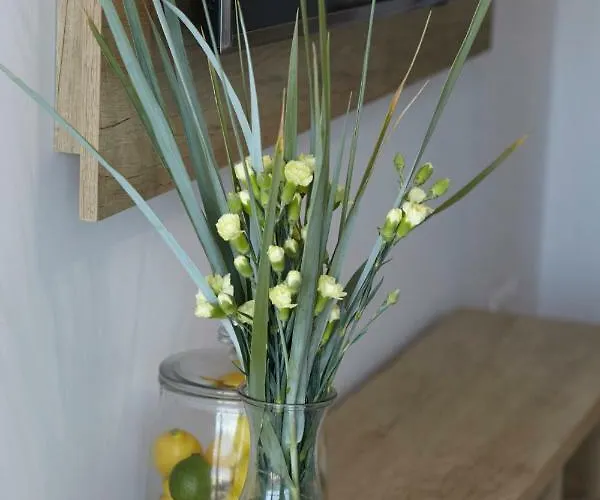 Z Widokiem Na Morze Apartmán Dziwnów